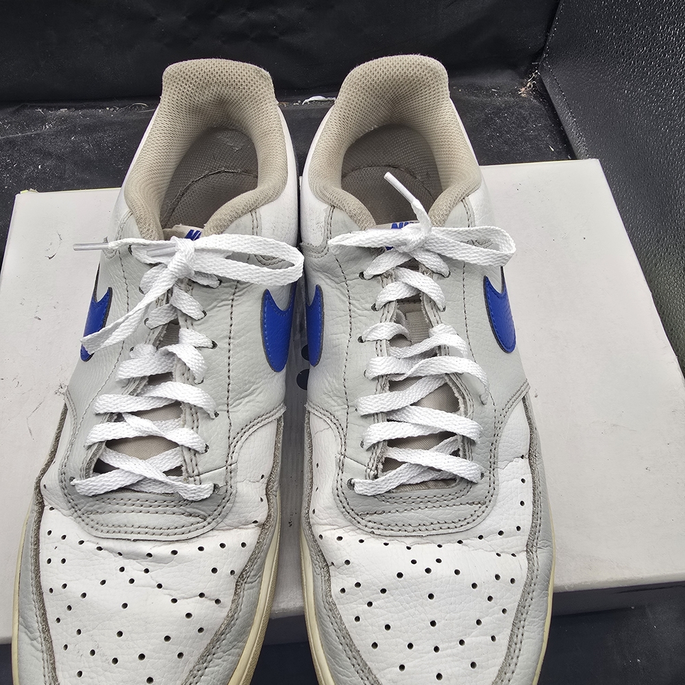 Nike White and Blue Men's Sneakers